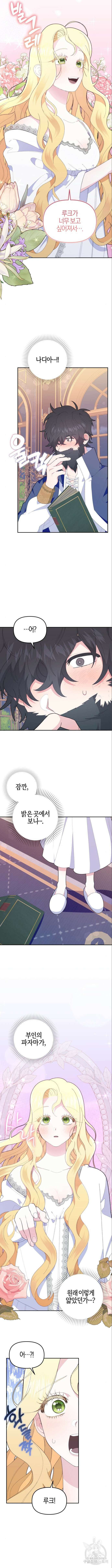 야수라는 공작에게 시집왔는데 7화 12
