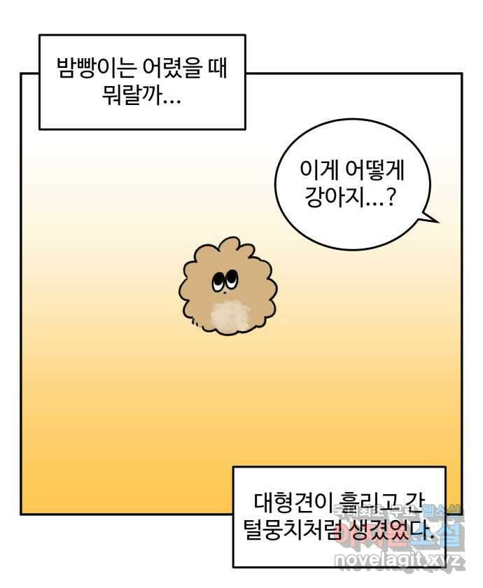 강아지는 멍멍하고 짖지 않아! 35화 - 이빨이 가려워! 1