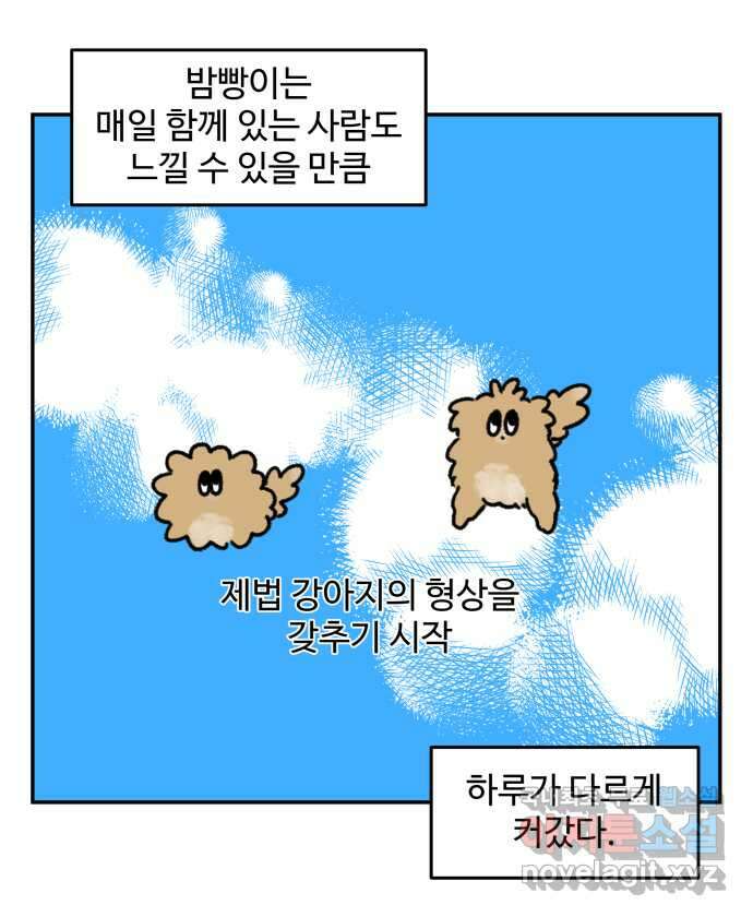 강아지는 멍멍하고 짖지 않아! 35화 - 이빨이 가려워! 4