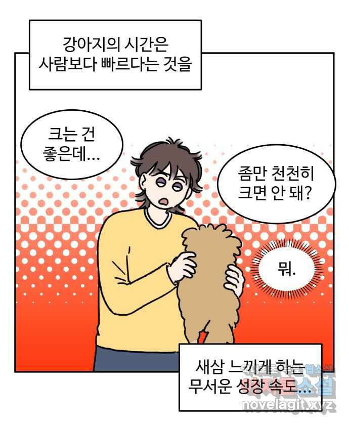 강아지는 멍멍하고 짖지 않아! 35화 - 이빨이 가려워! 5