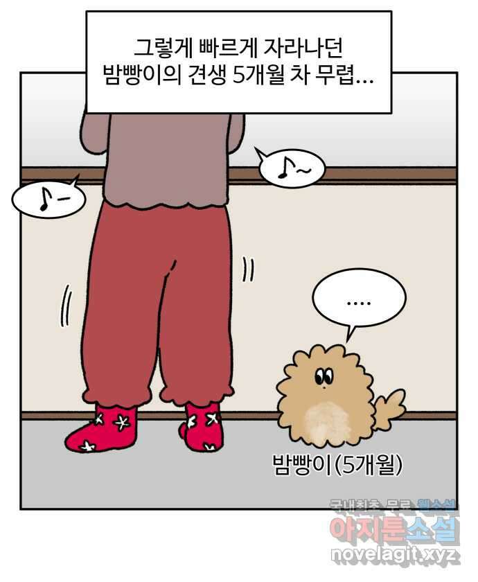 강아지는 멍멍하고 짖지 않아! 35화 - 이빨이 가려워! 6