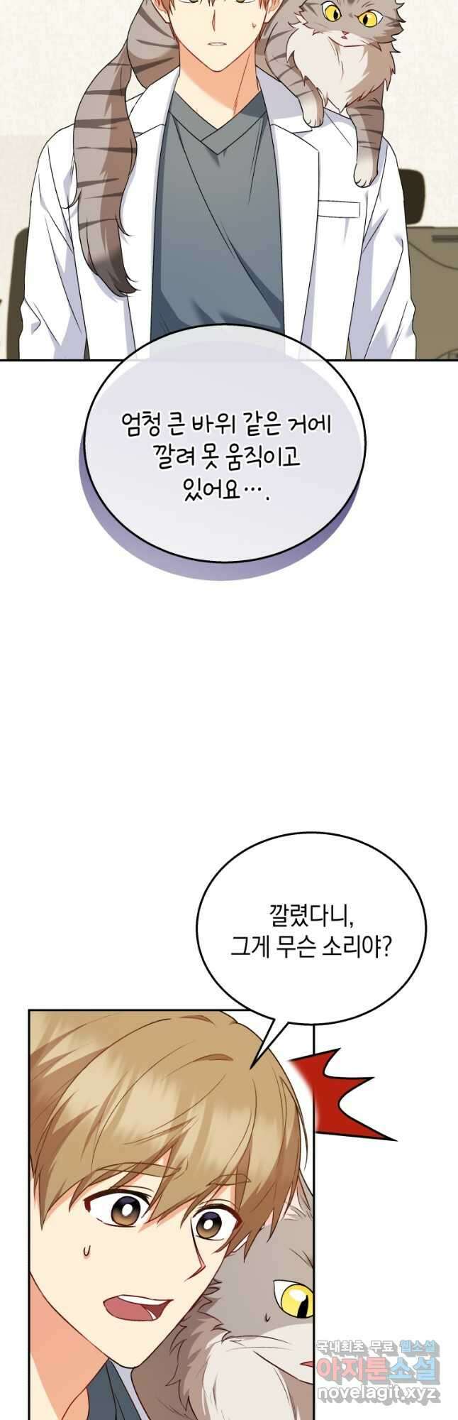 수의사님! 안녕하세요 25화 3