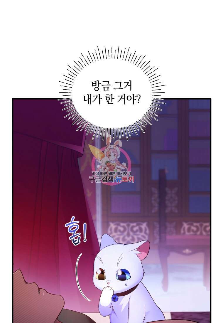 술탄의 귀한 고양이가 되었습니다 7화 1