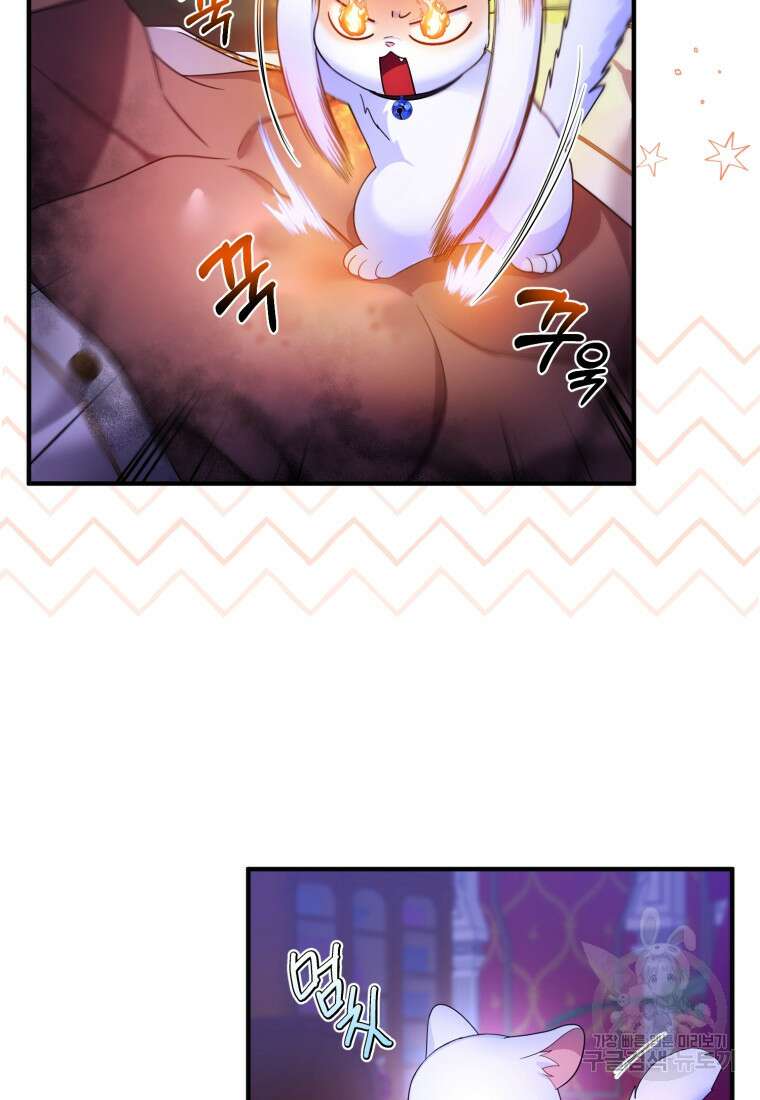 술탄의 귀한 고양이가 되었습니다 7화 4