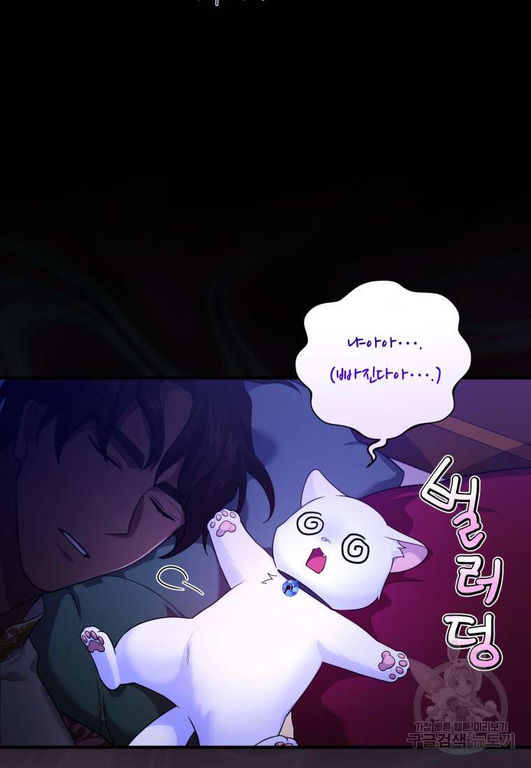 술탄의 귀한 고양이가 되었습니다 7화 13
