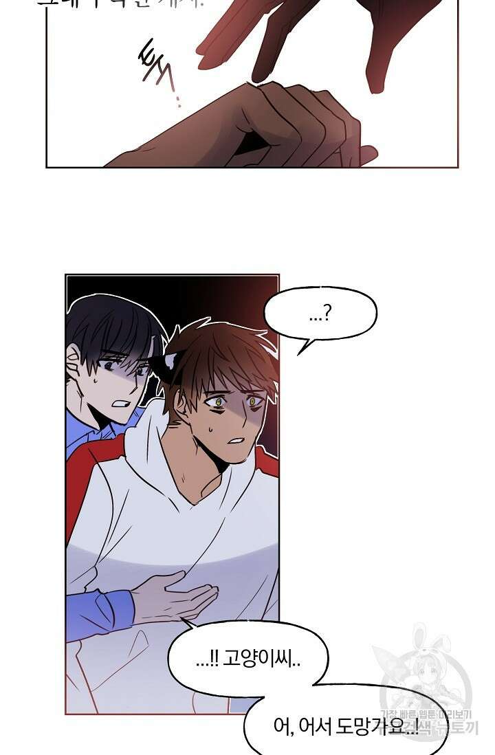 골판지 상자 안 고양이씨 시즌2 4화 8