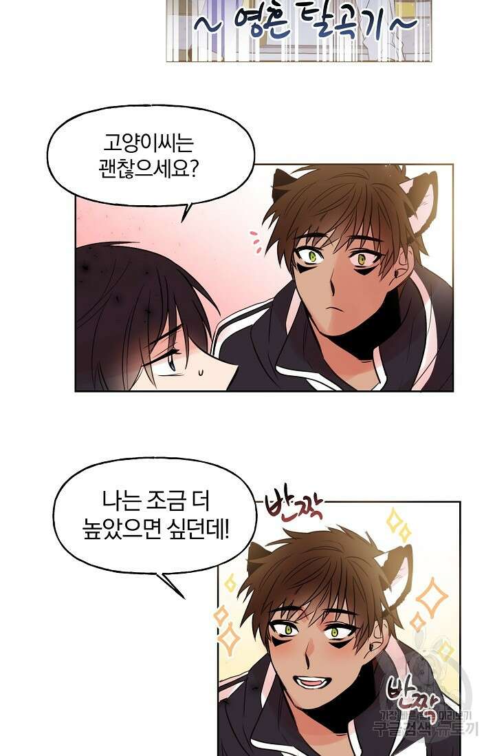 골판지 상자 안 고양이씨 시즌2 7화 4