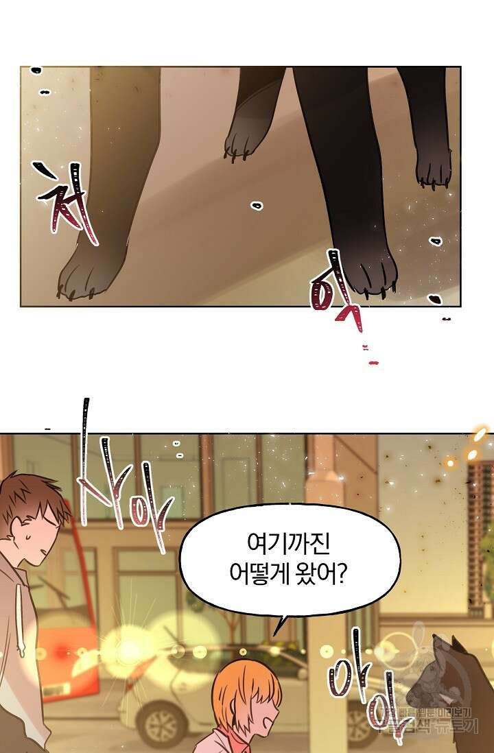 골판지 상자 안 고양이씨 시즌2 10화 35