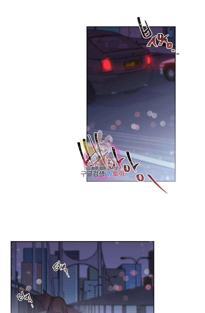 골판지 상자 안 고양이씨 시즌2 18화 1