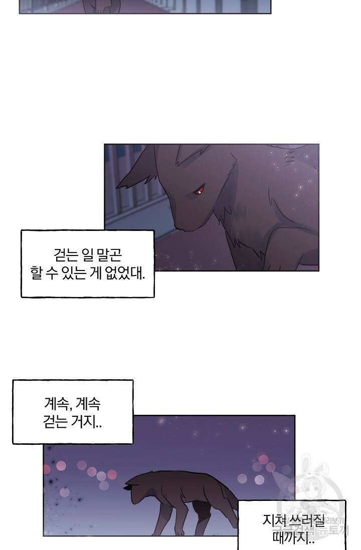 골판지 상자 안 고양이씨 시즌2 18화 2