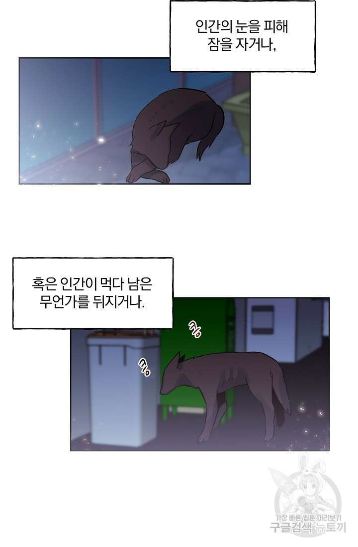 골판지 상자 안 고양이씨 시즌2 18화 4
