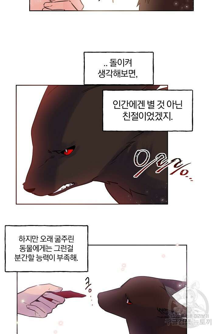 골판지 상자 안 고양이씨 시즌2 18화 15