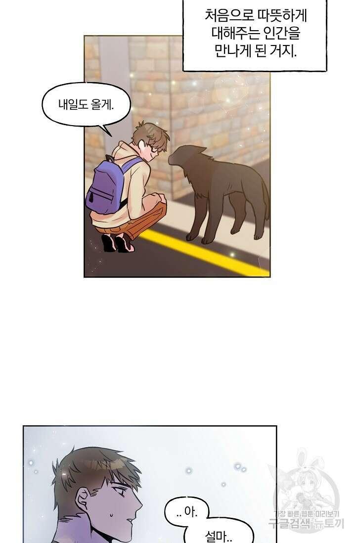 골판지 상자 안 고양이씨 시즌2 18화 19