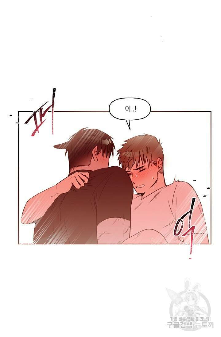 골판지 상자 안 고양이씨 시즌2 26화 7