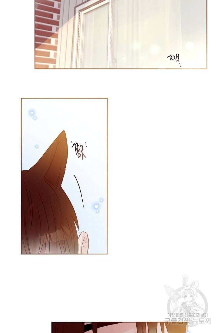 골판지 상자 안 고양이씨 시즌2 26화 13