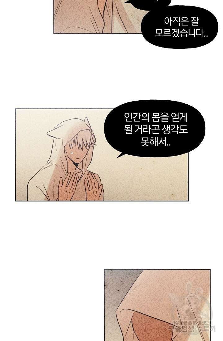 골판지 상자 안 고양이씨 시즌2 28화 10