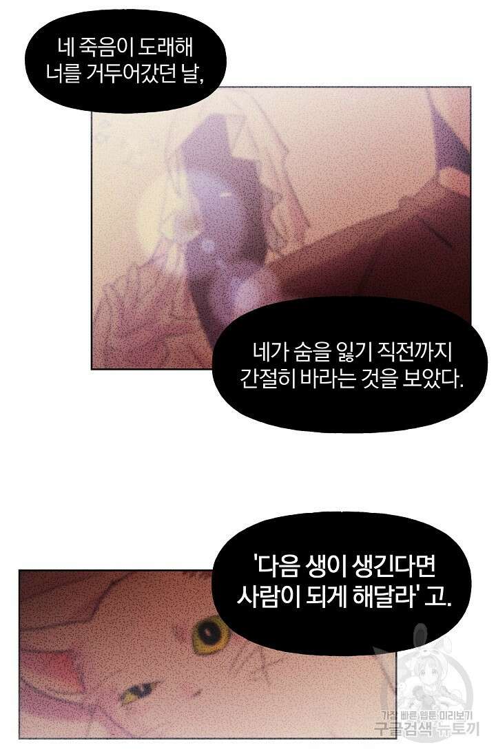 골판지 상자 안 고양이씨 시즌2 28화 12