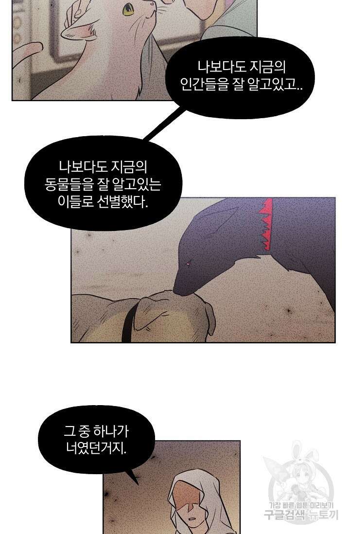 골판지 상자 안 고양이씨 시즌2 28화 19