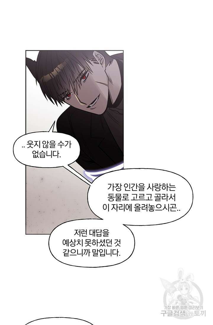 골판지 상자 안 고양이씨 시즌2 29화 30