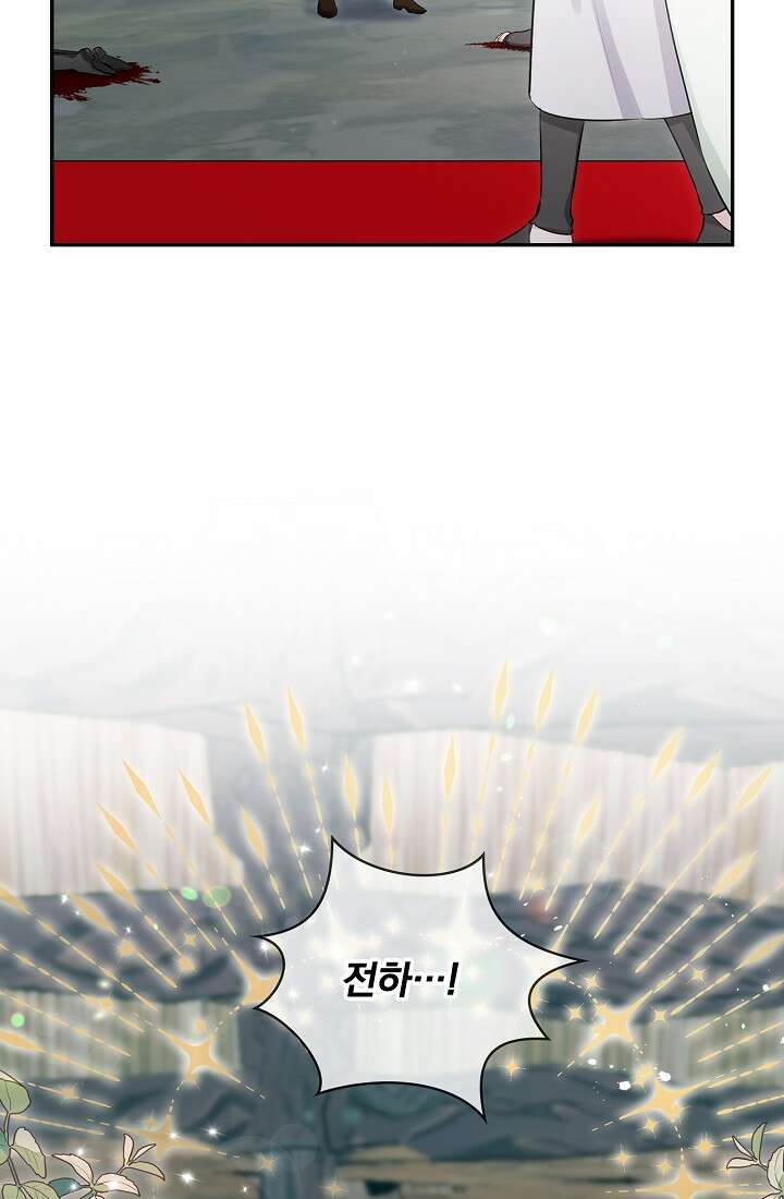 눌리타스 : 절반의 백작 영애 109화 33