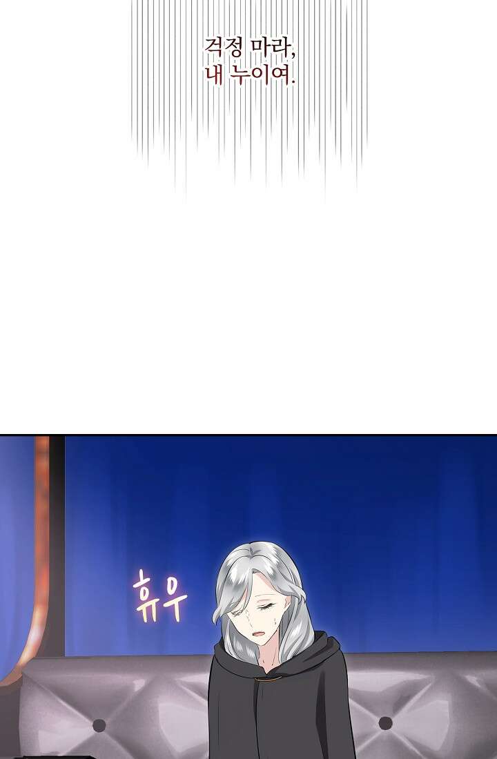눌리타스 : 절반의 백작 영애 109화 68