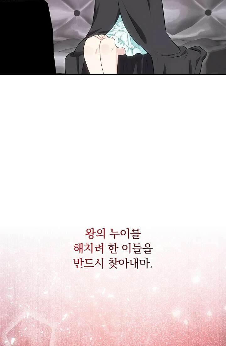 눌리타스 : 절반의 백작 영애 109화 69