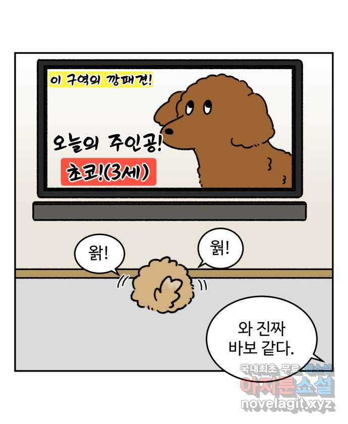 강아지는 멍멍하고 짖지 않아! 38화 - 트라우마 2 3