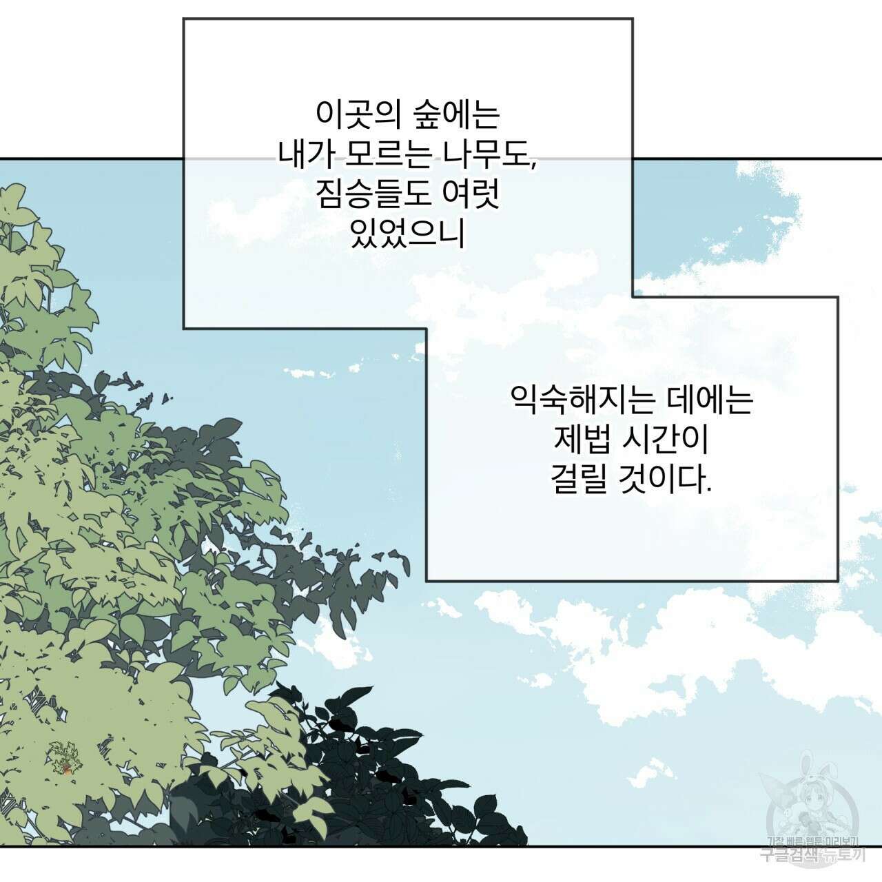 숲바다 50화 11