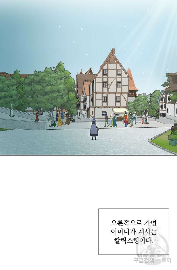눌리타스 : 절반의 백작 영애 134화 14