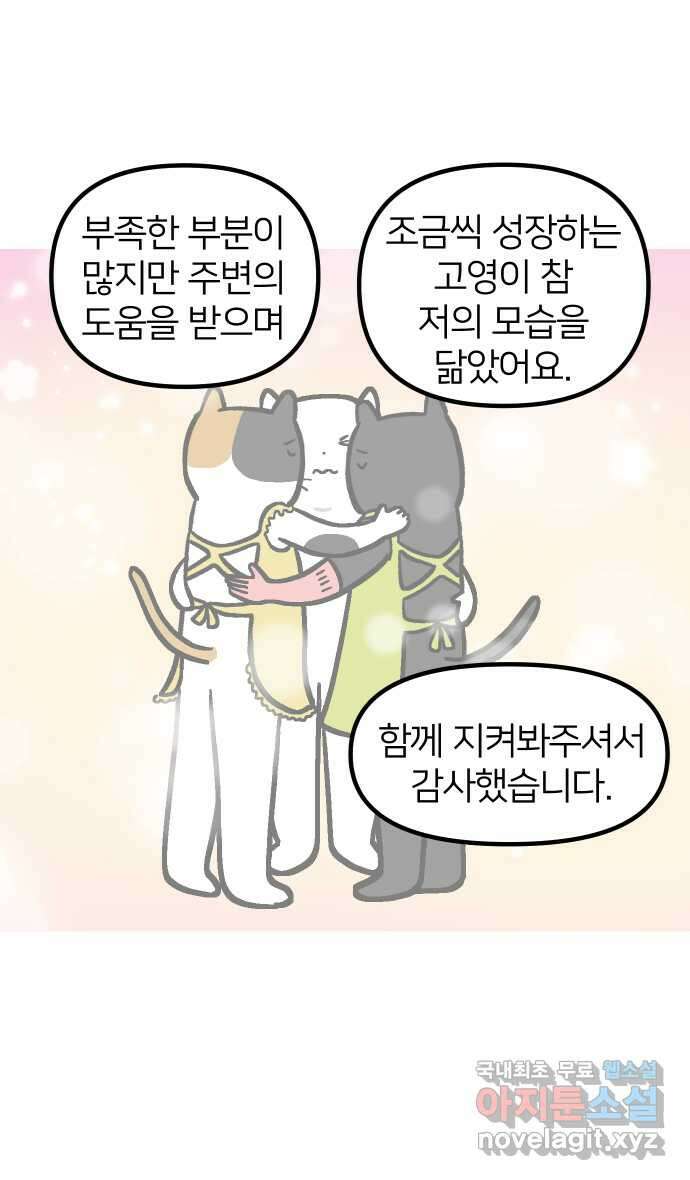 애옹식당 후기 9