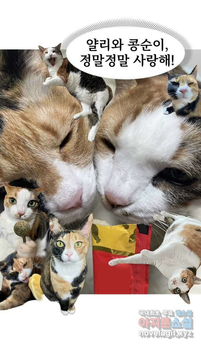 애옹식당 후기 13