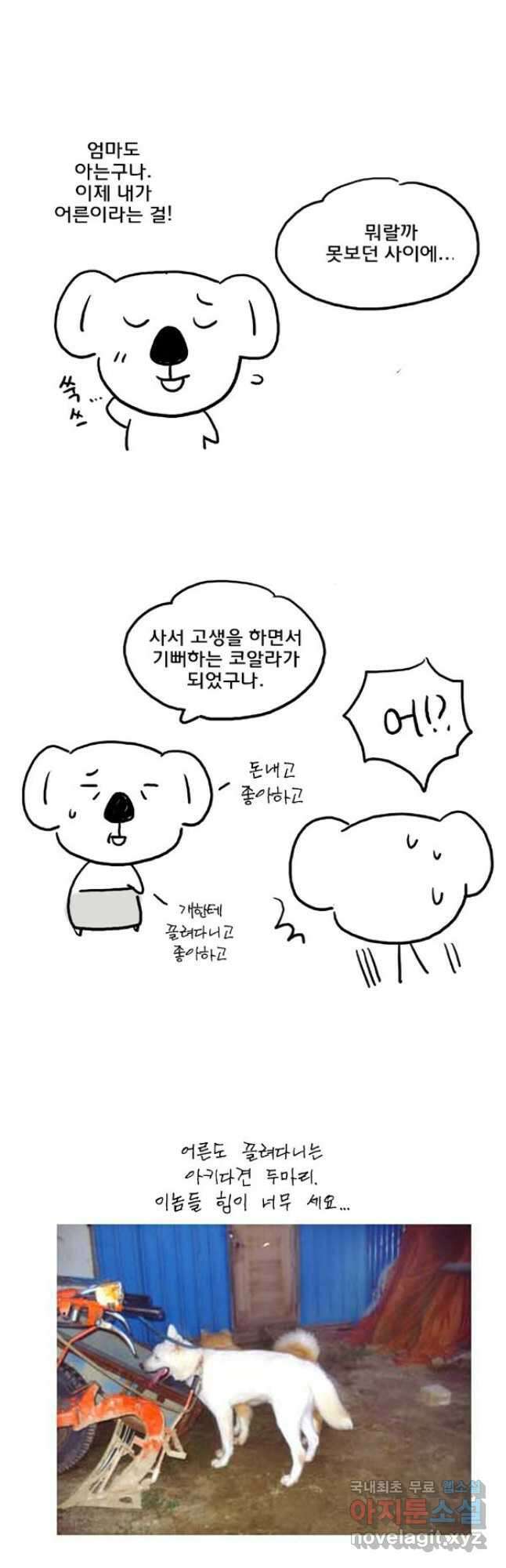 코알랄라 48화 얌이의 한가위 17