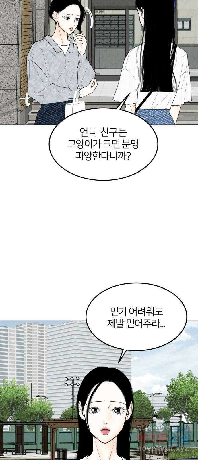 우리 집 고양이 보고 갈래? 47화 2