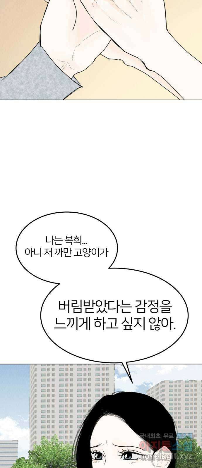 우리 집 고양이 보고 갈래? 47화 10