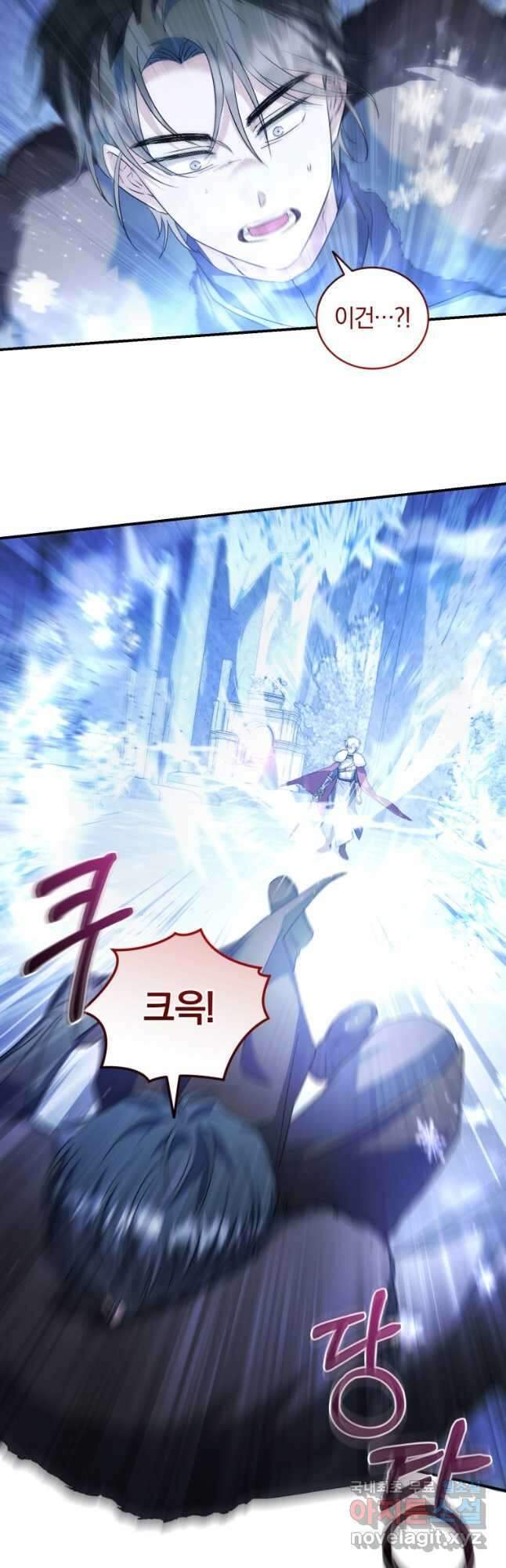 빼앗긴 가문의 주인이 되려 합니다 52화 21
