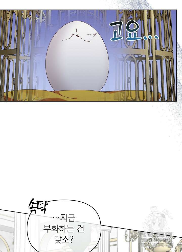 새황후 5화 16