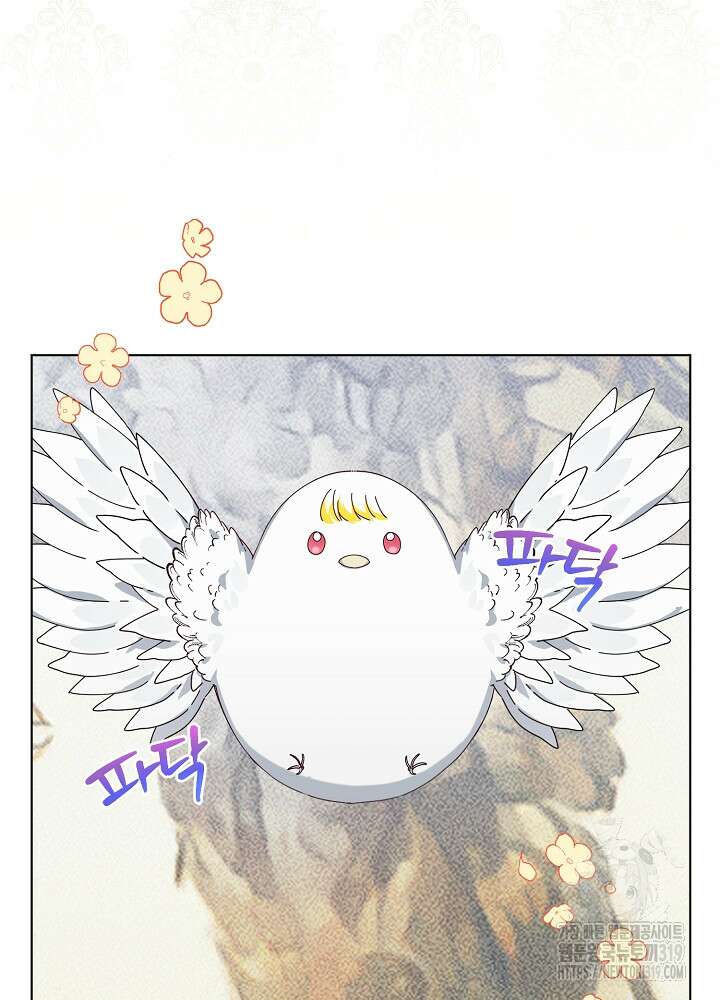 새황후 5화 61