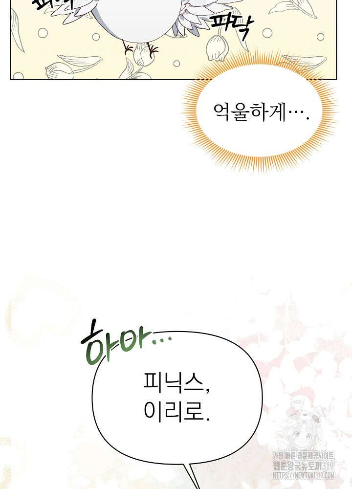 새황후 5화 72