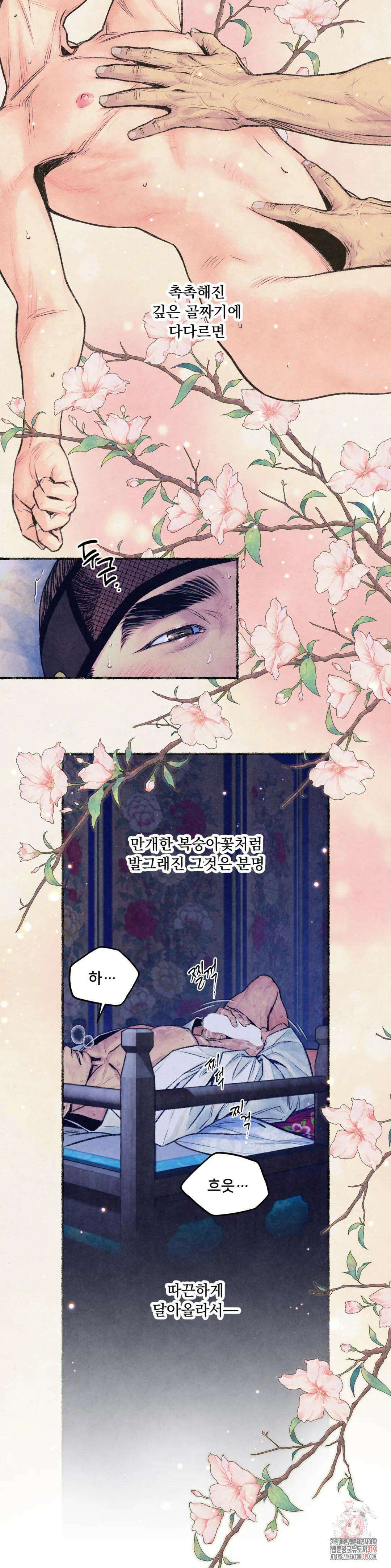 청상부마 22화 념자조조 17
