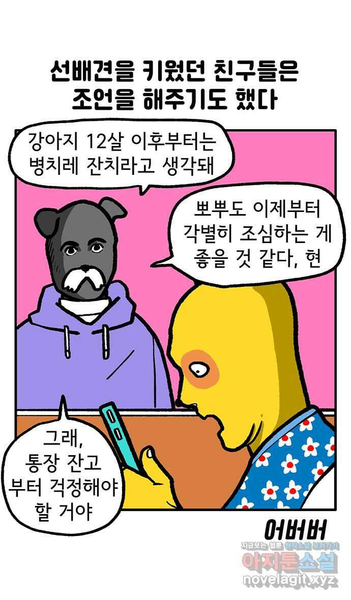 루루라라 우리네 인생 122화 나의 늙은 개 7