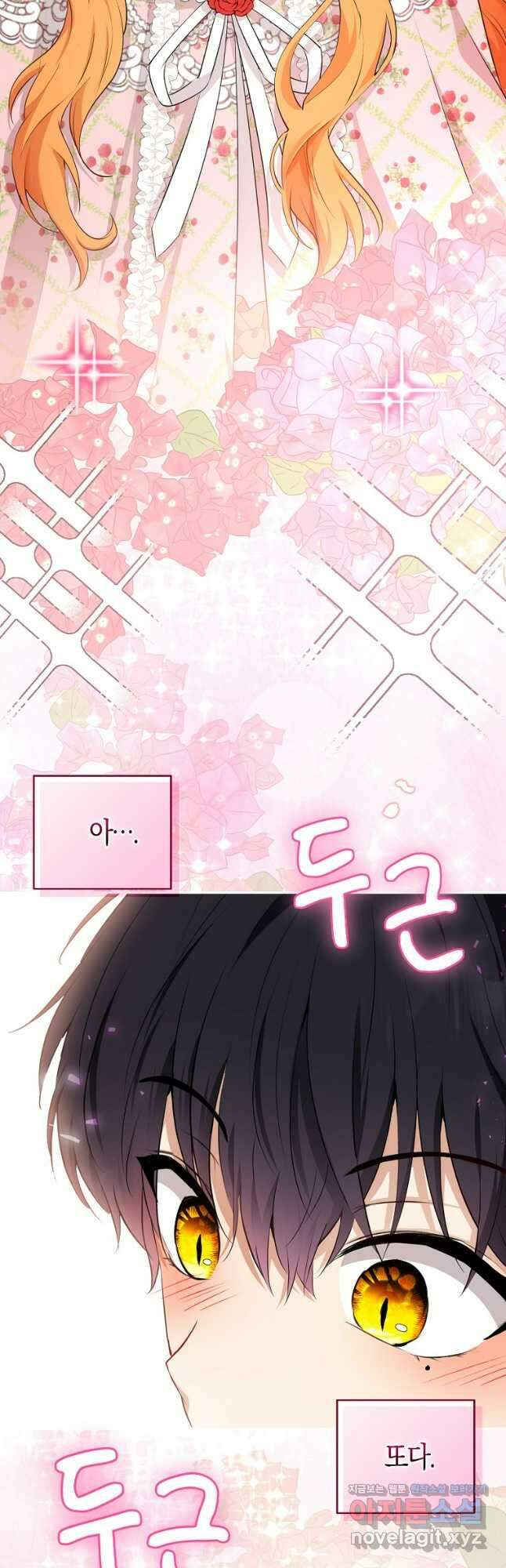 아기 다람쥐가 다 잘해요 68화 38