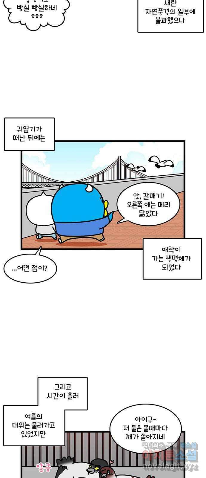 윌유메리미 시즌2 742화 비둘기 가족 후기 2