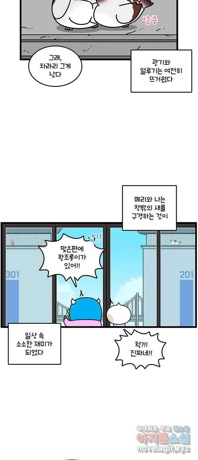 윌유메리미 시즌2 742화 비둘기 가족 후기 3