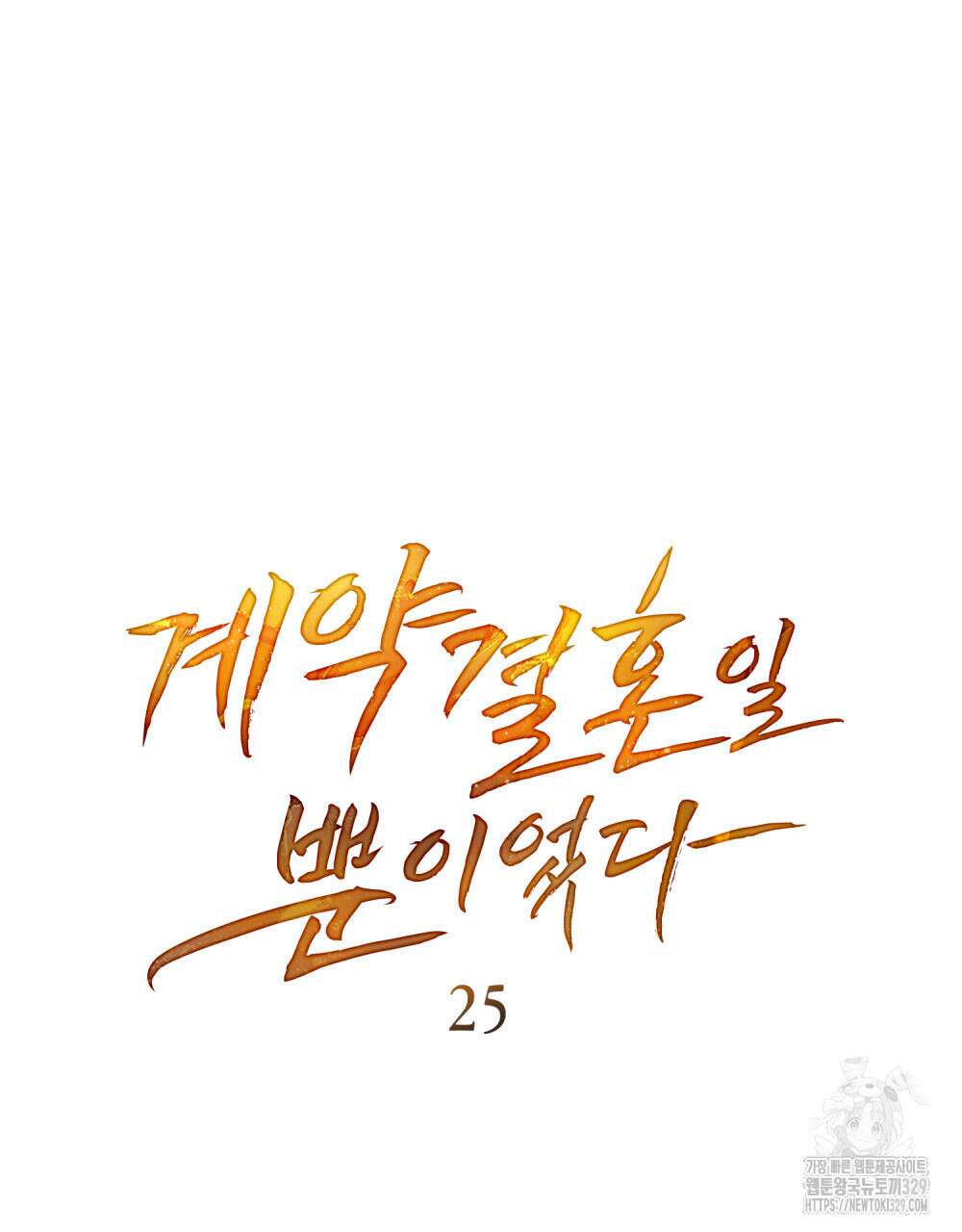 계약 결혼일 뿐이었다 25화 16