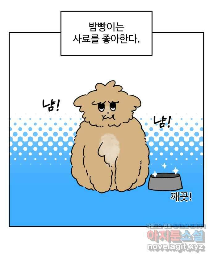 강아지는 멍멍하고 짖지 않아! 77화 - 편식 강아지 1 1
