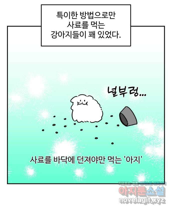 강아지는 멍멍하고 짖지 않아! 77화 - 편식 강아지 1 3