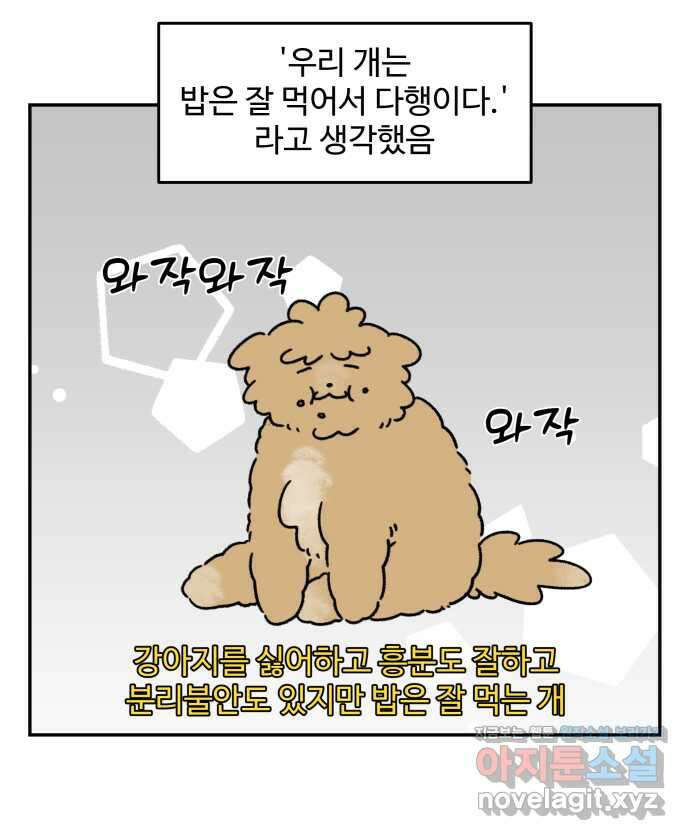 강아지는 멍멍하고 짖지 않아! 77화 - 편식 강아지 1 4