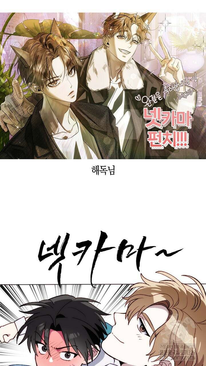 넷카마 펀치!!! 후기 13