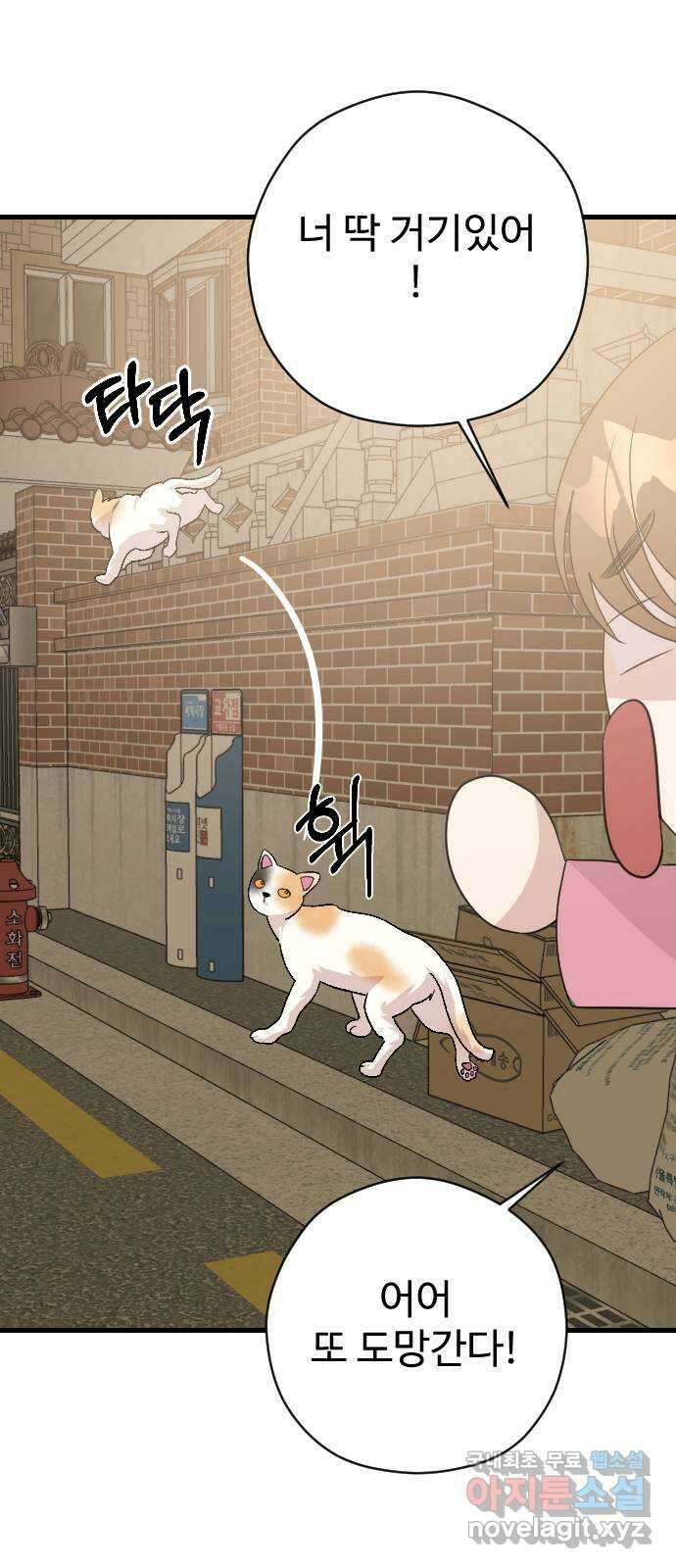 주작연애 69화. 내가 아닌 삶(3) 4