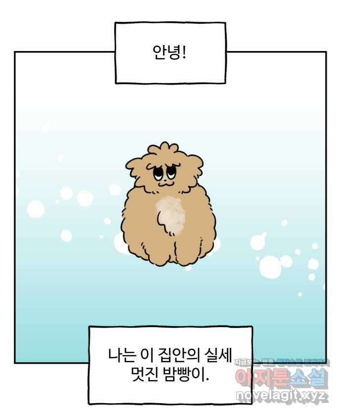 강아지는 멍멍하고 짖지 않아! 79화 - ㅇㅏㄴ녕! 8